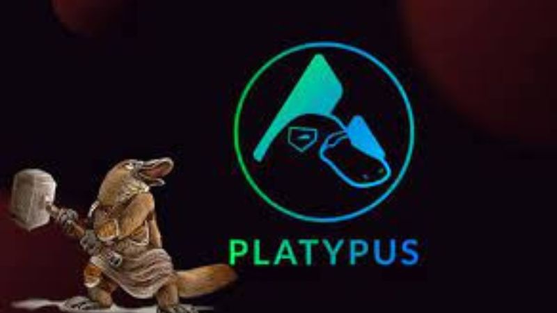 En este momento estás viendo Platypus Finance