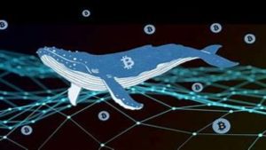 Lee más sobre el artículo ¿Qué o quiénes son las “ballenas” de criptomonedas?